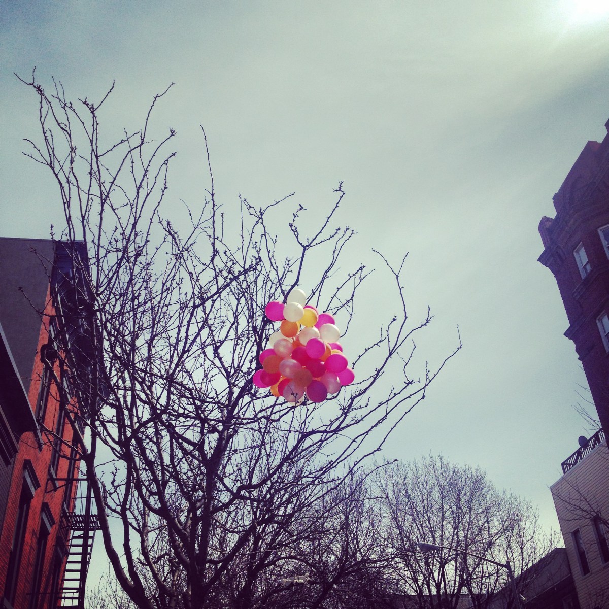 brooklyn balloons | love wins