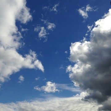 painterly by clio em