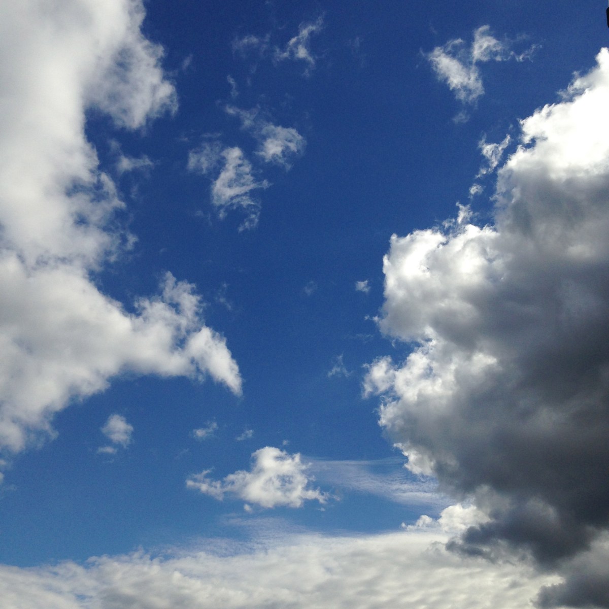 painterly by clio em